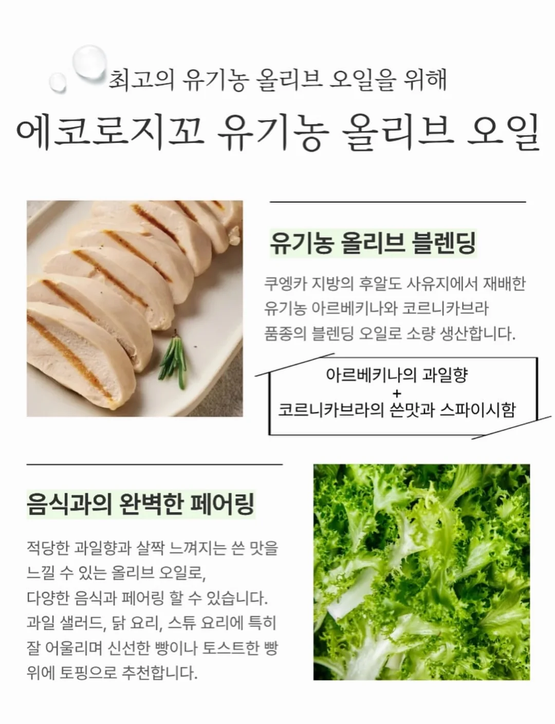 폴로 치프키프 빅포니 카라티 6