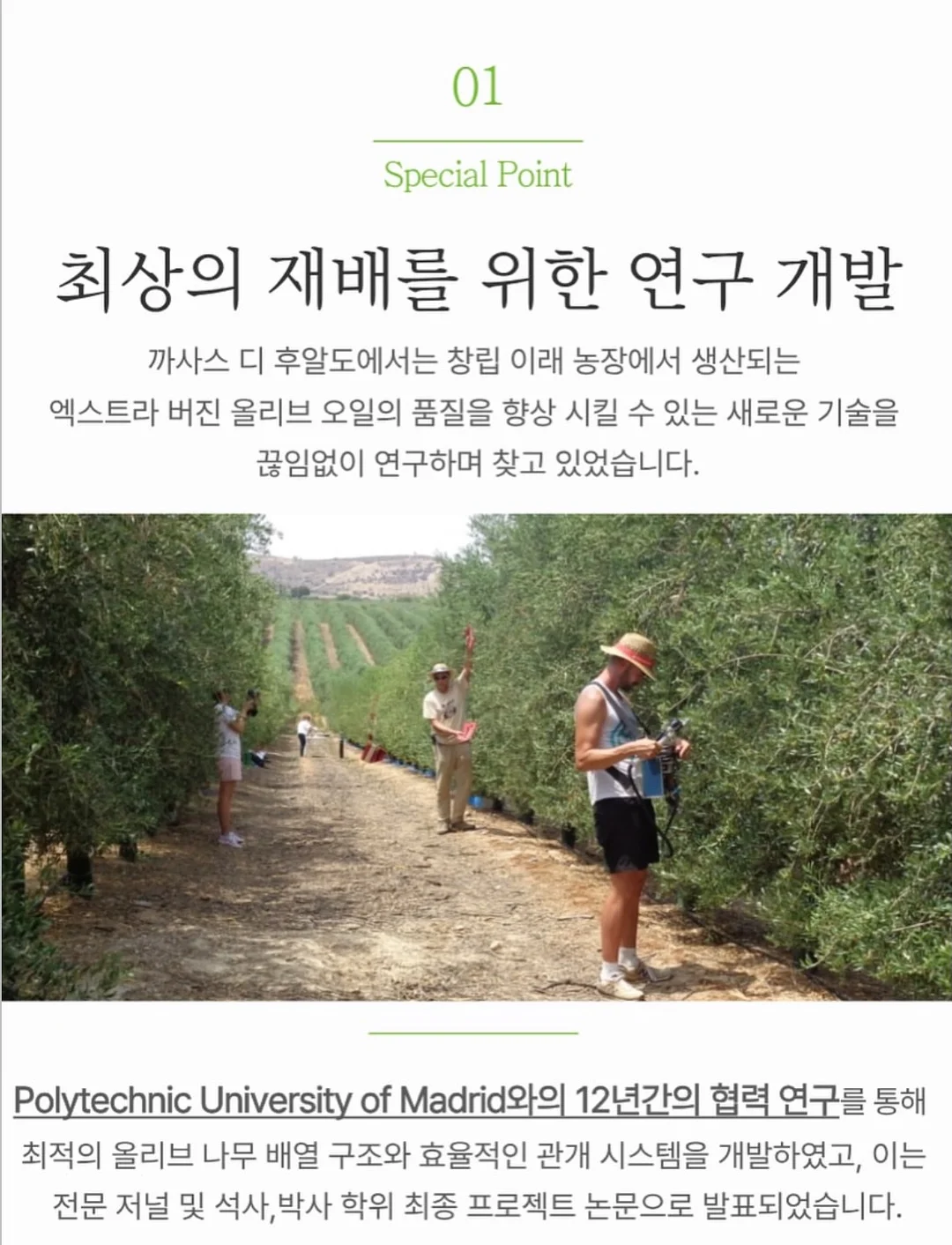 폴로 치프키프 빅포니 카라티 8