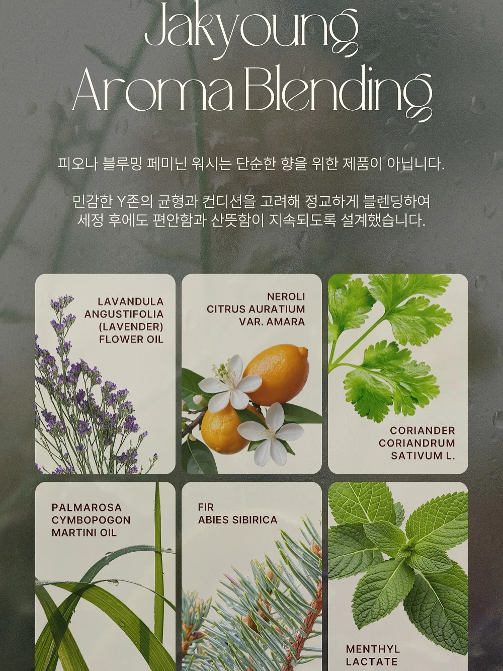 대만 홈베이킹 식빵 레시피 10