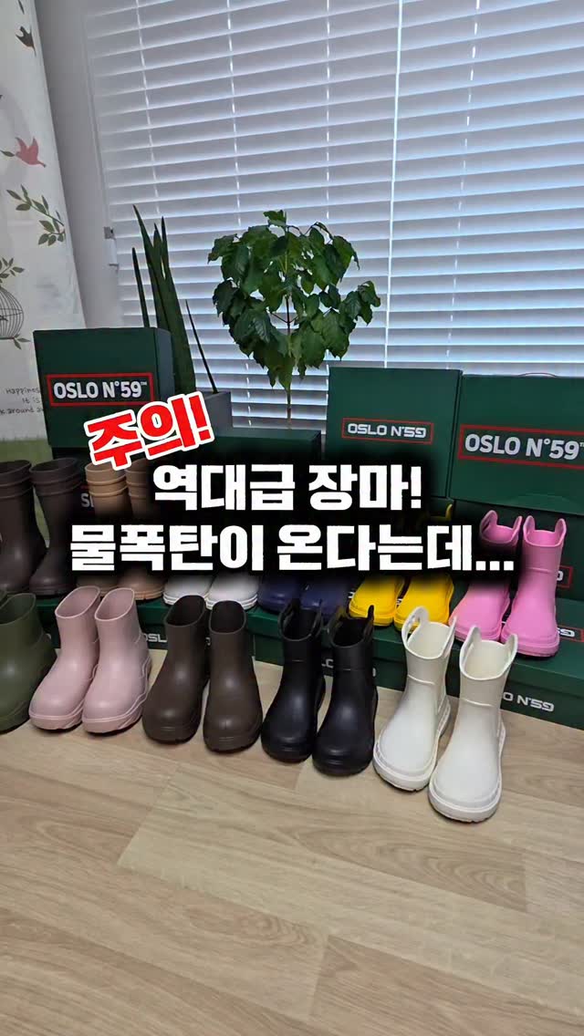 붓기 독소 관리 제품