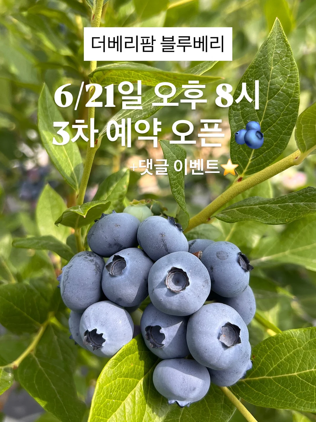 에이딘에이블 블랙앤화이트 코디
