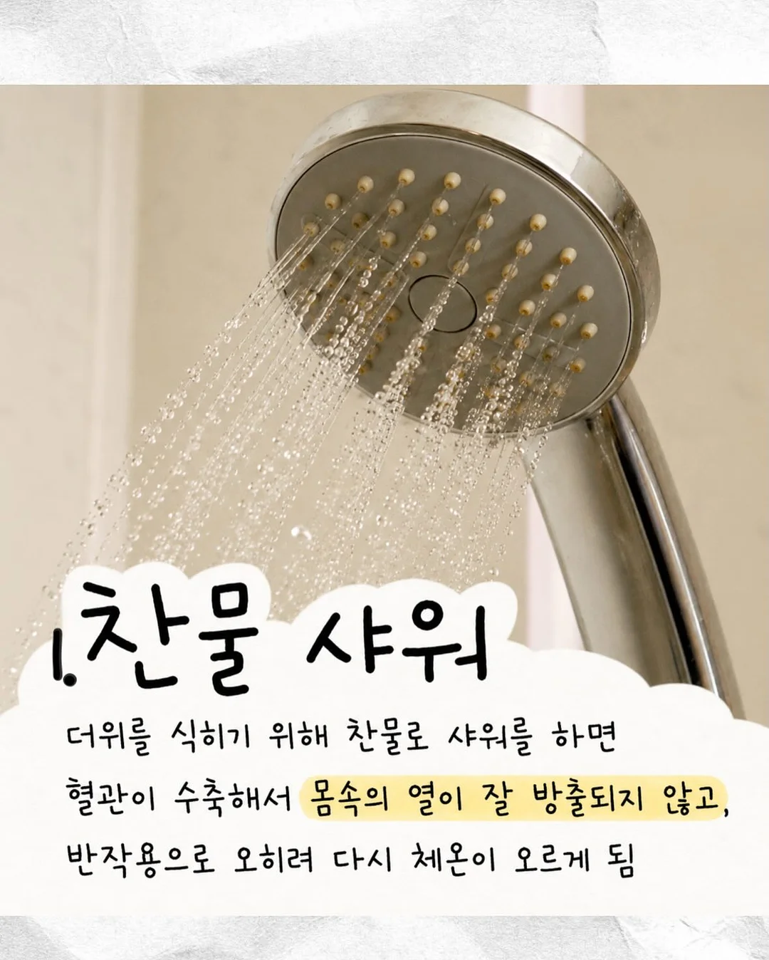 뮤이 실버백 2