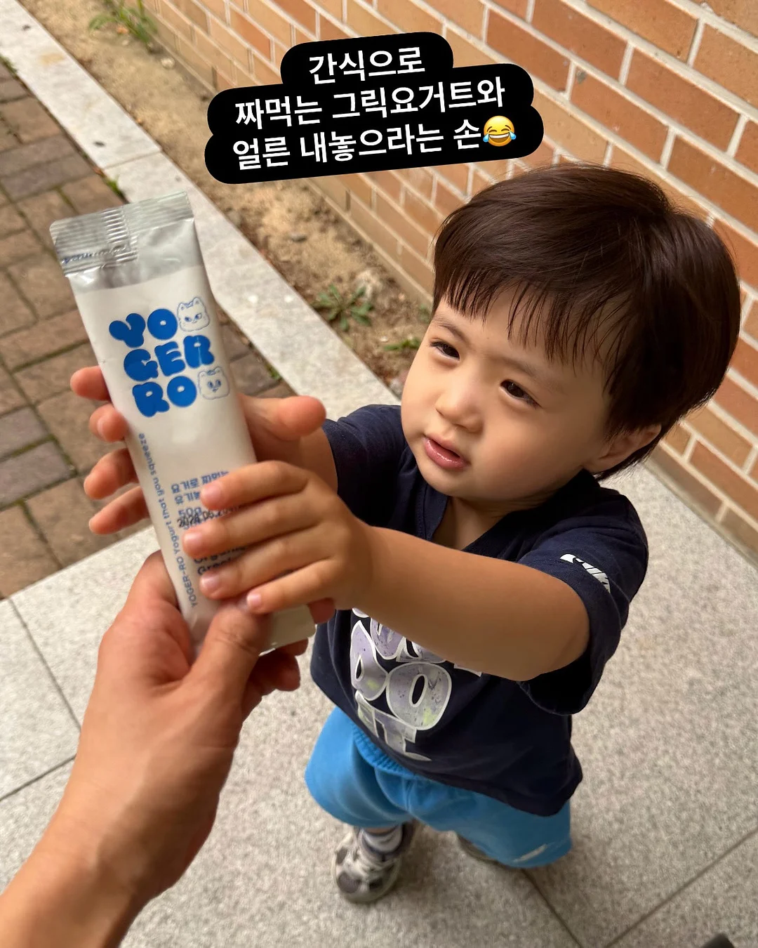 밀폐 도시락통 5