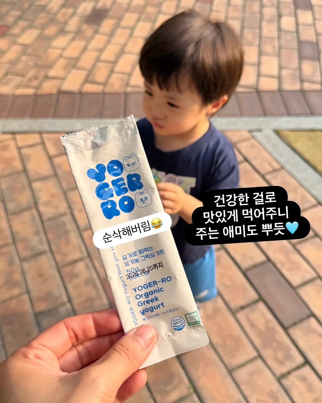 밀폐 도시락통 7