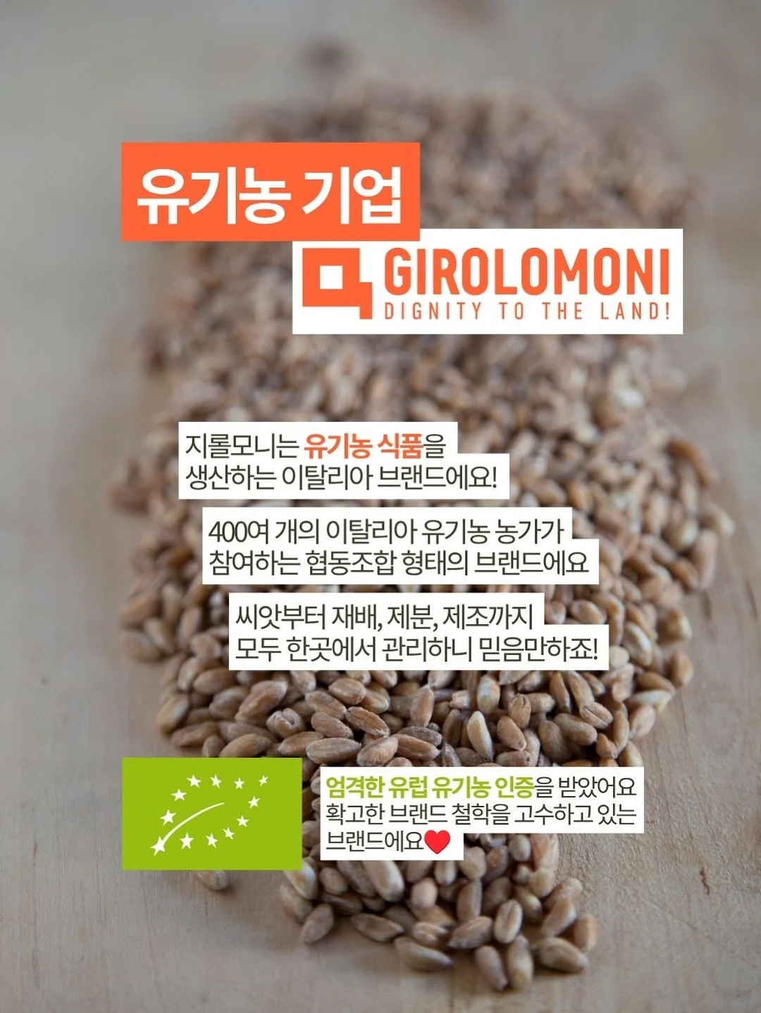 뉴뉴 13
