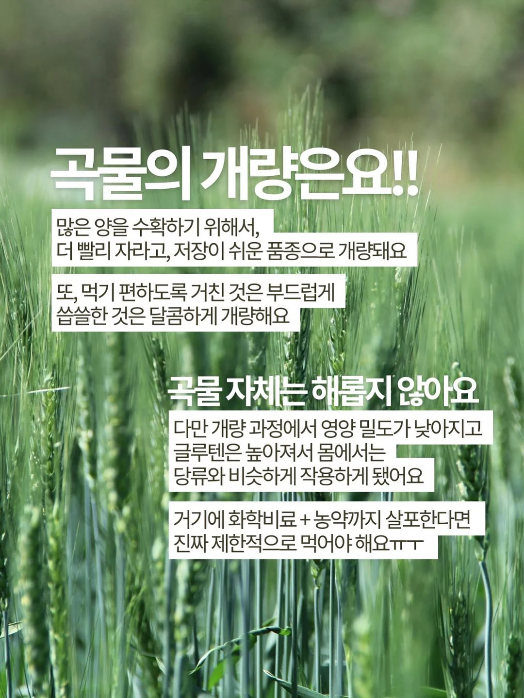 뉴뉴 14
