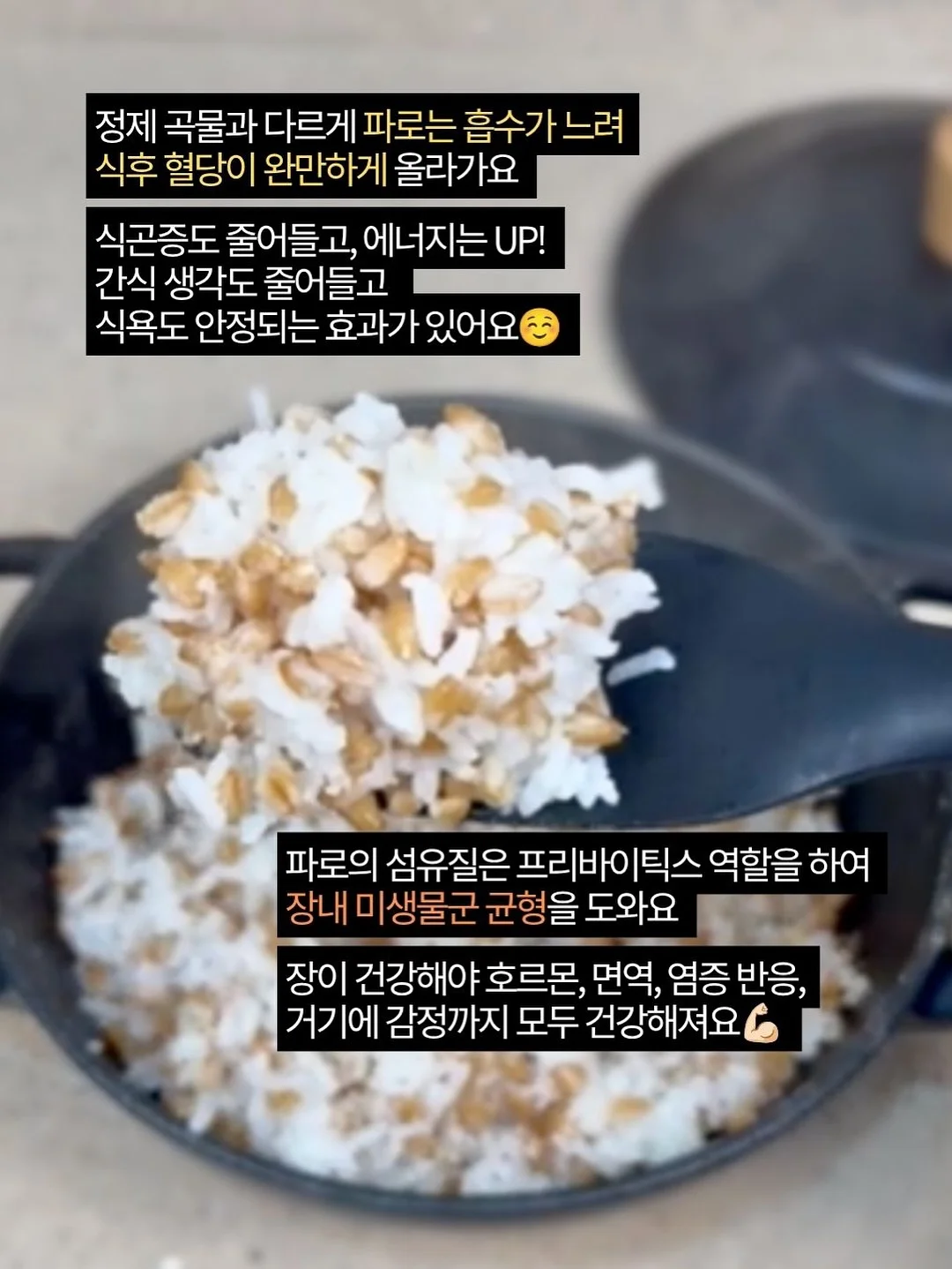 뉴뉴 15
