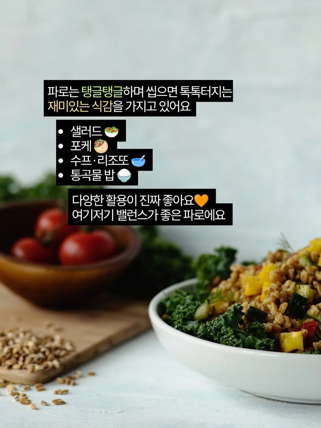 뉴뉴 16