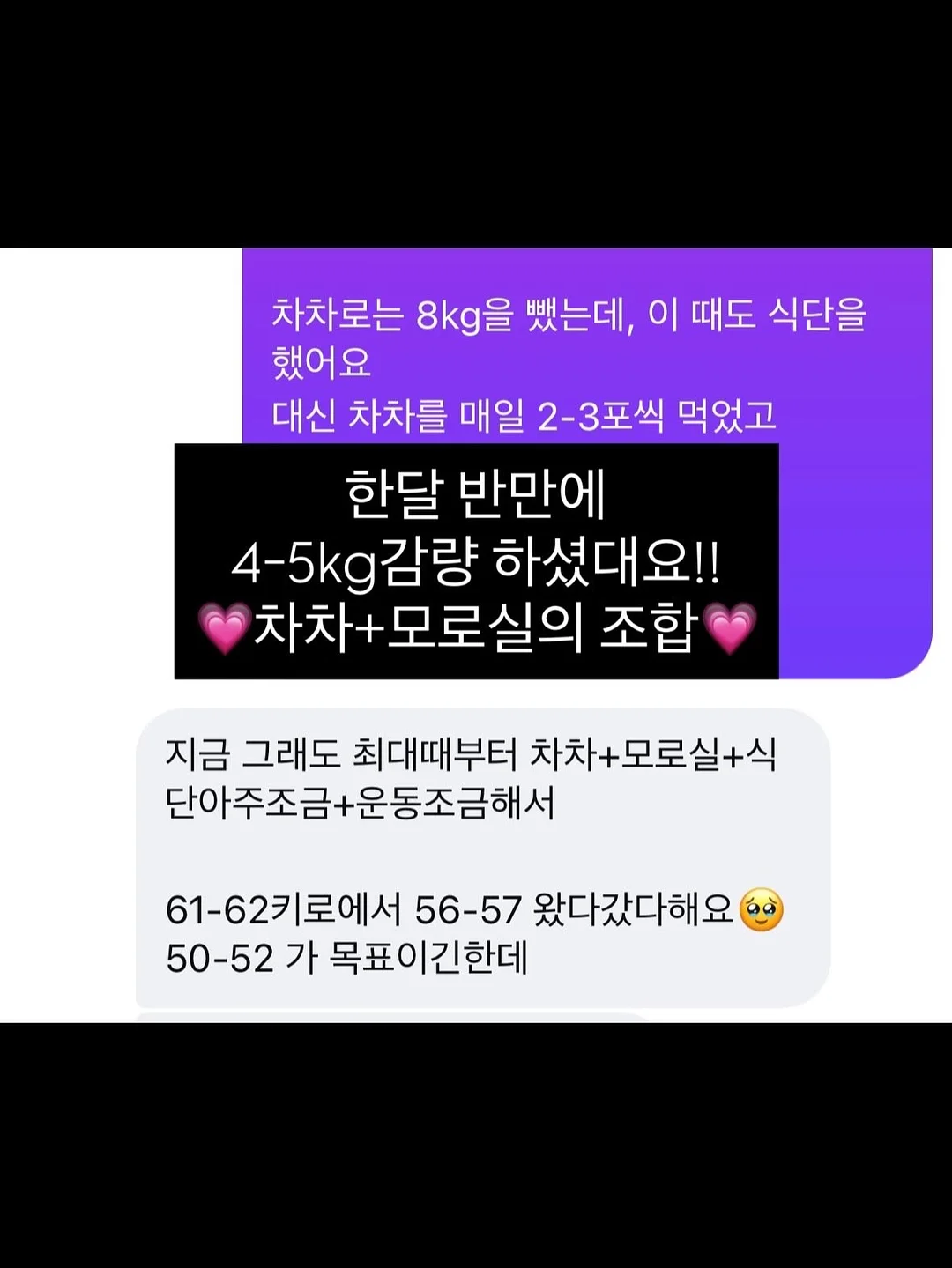 아기용 퓨레 메이커 10