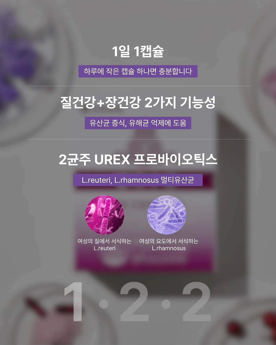 투피스 세트 13