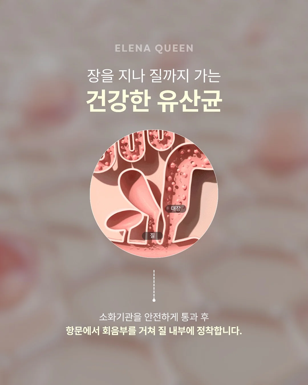 투피스 세트 3