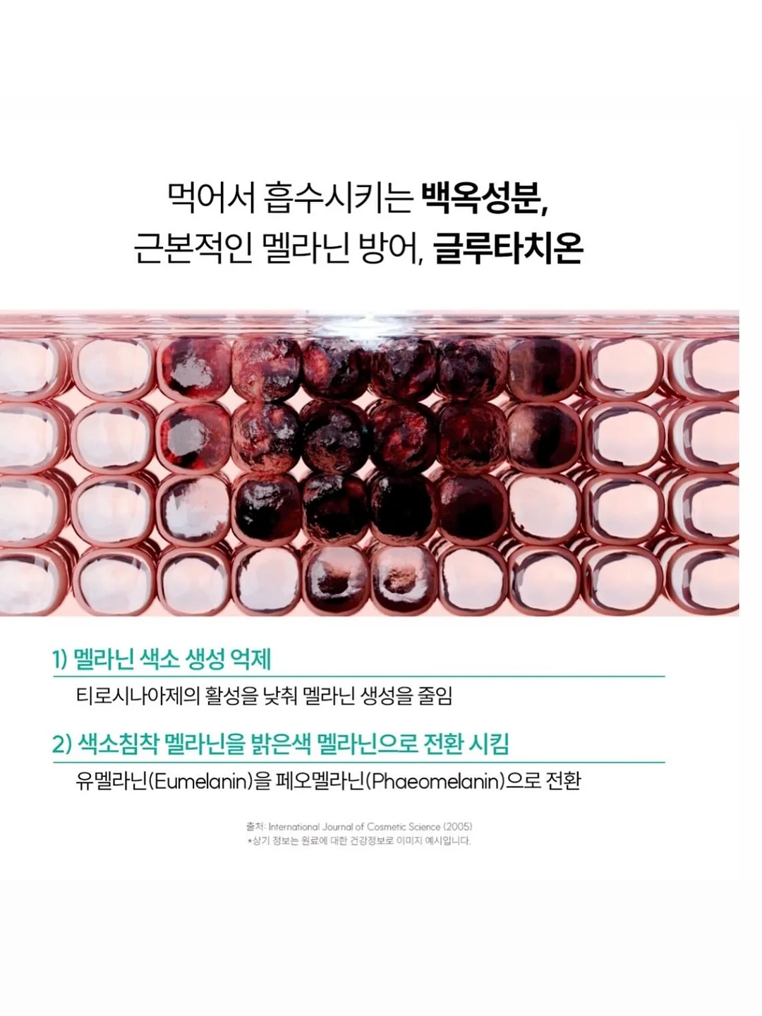 욕실 물막이 6