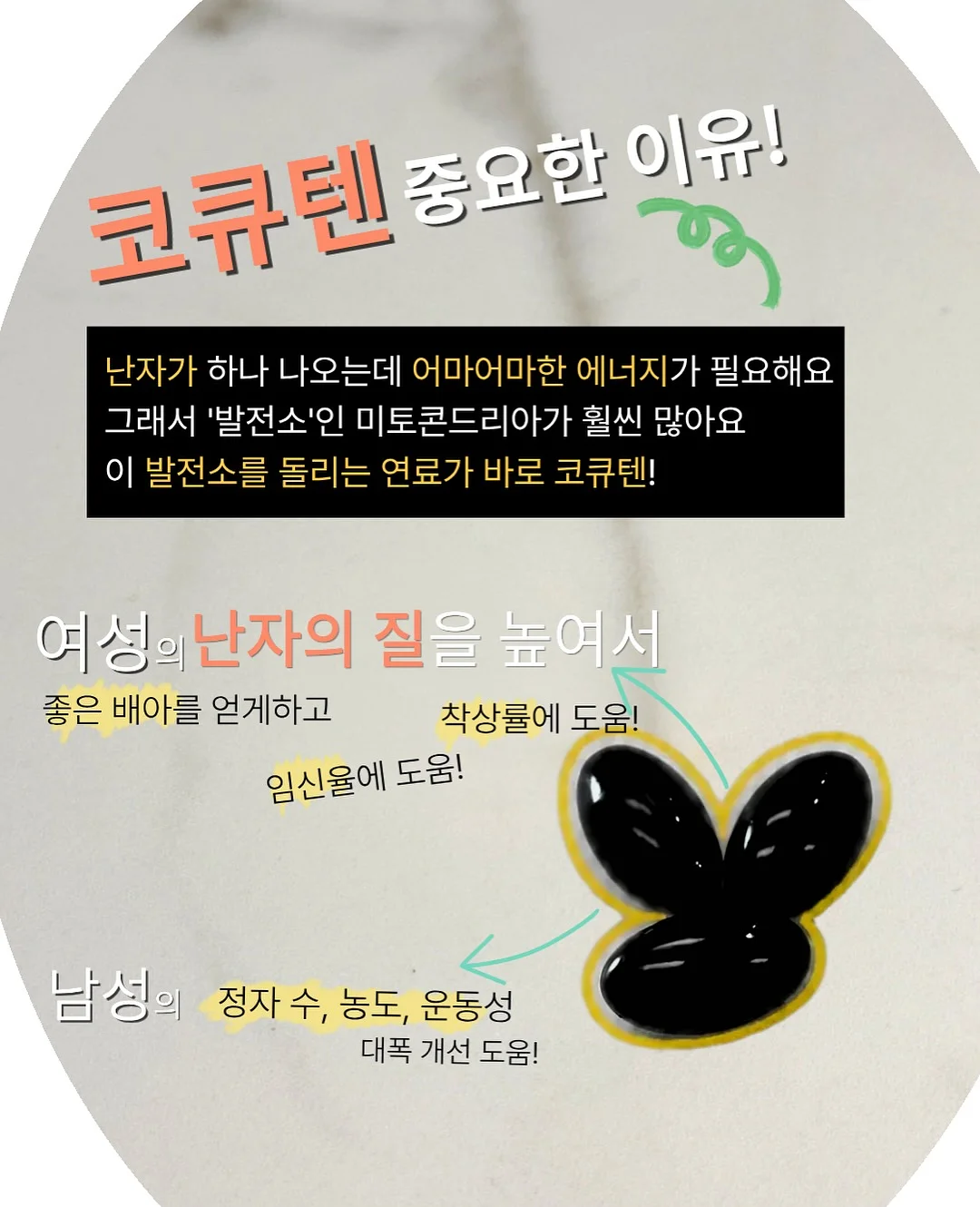 리던 티셔츠 3