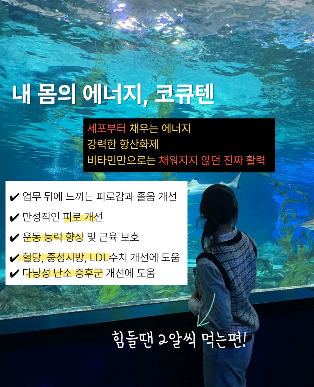 리던 티셔츠 4