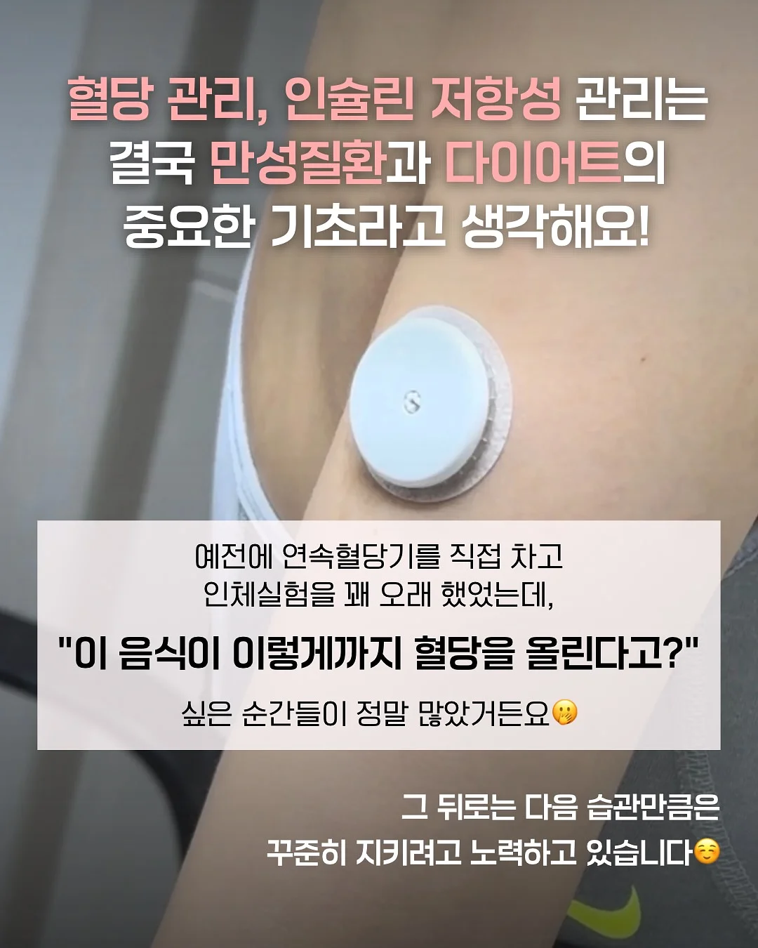 가든햇 2