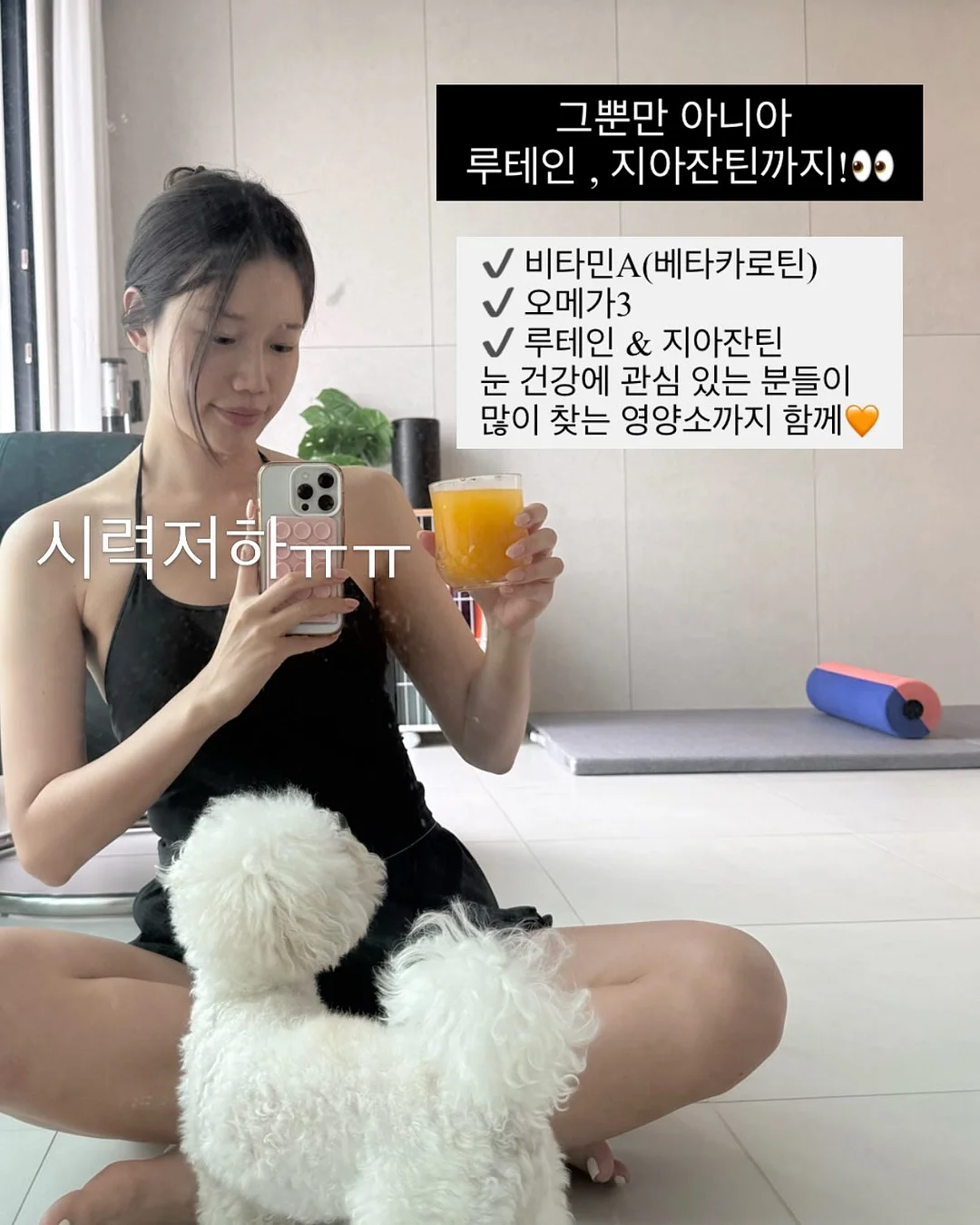 의류 11