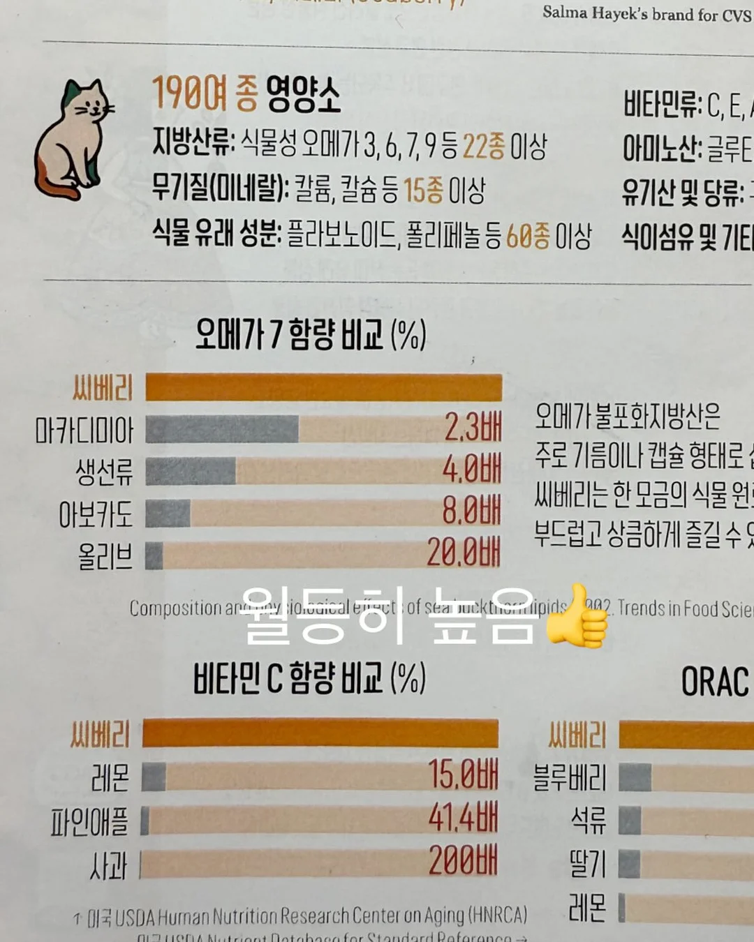의류 15