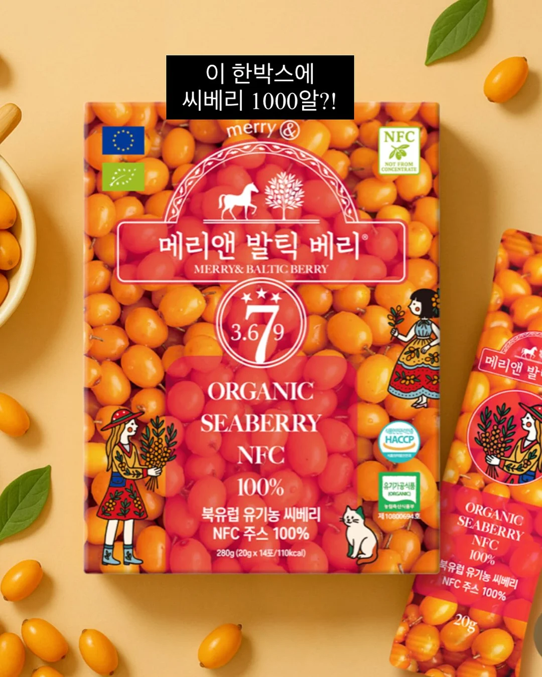 의류 5