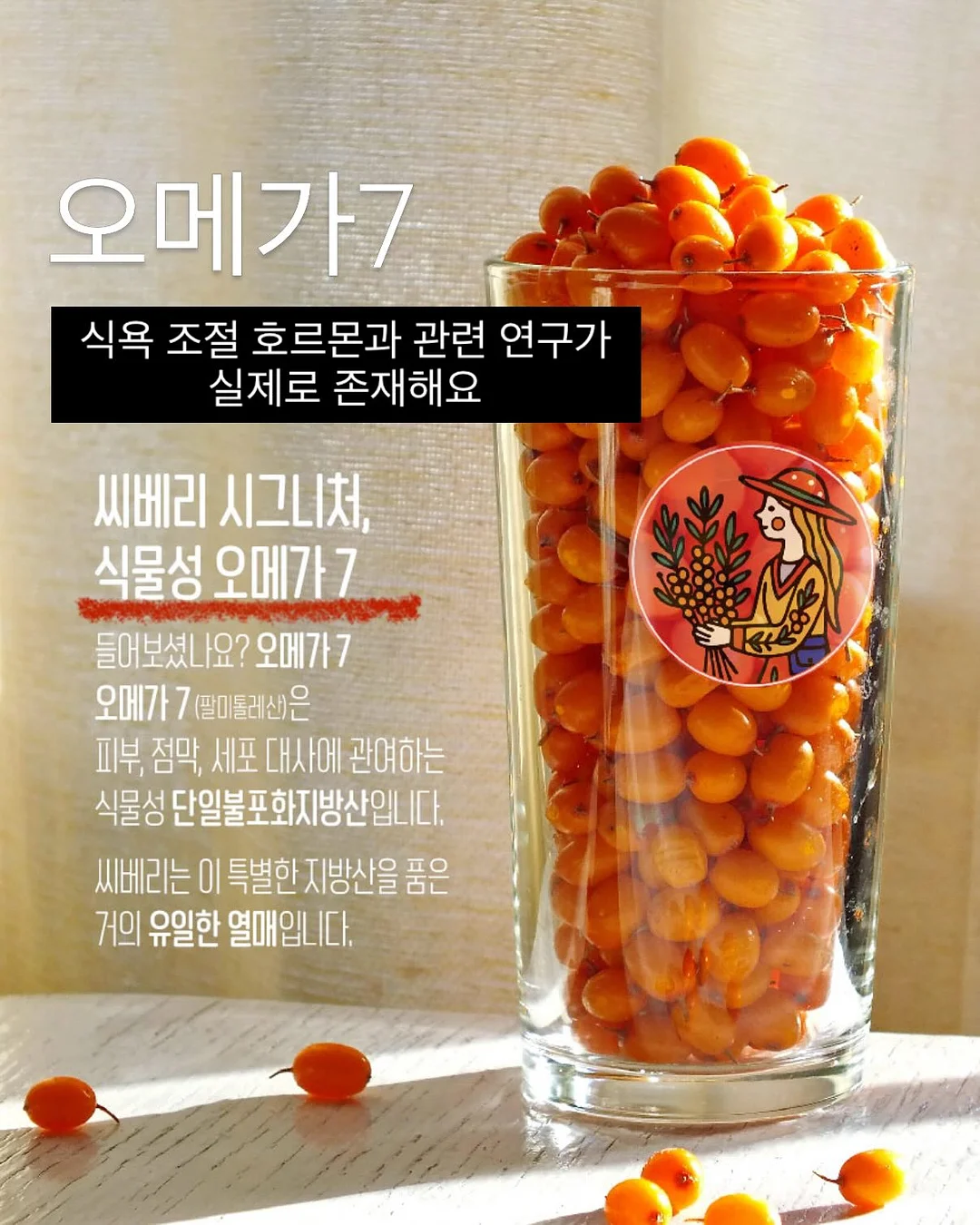 의류 6