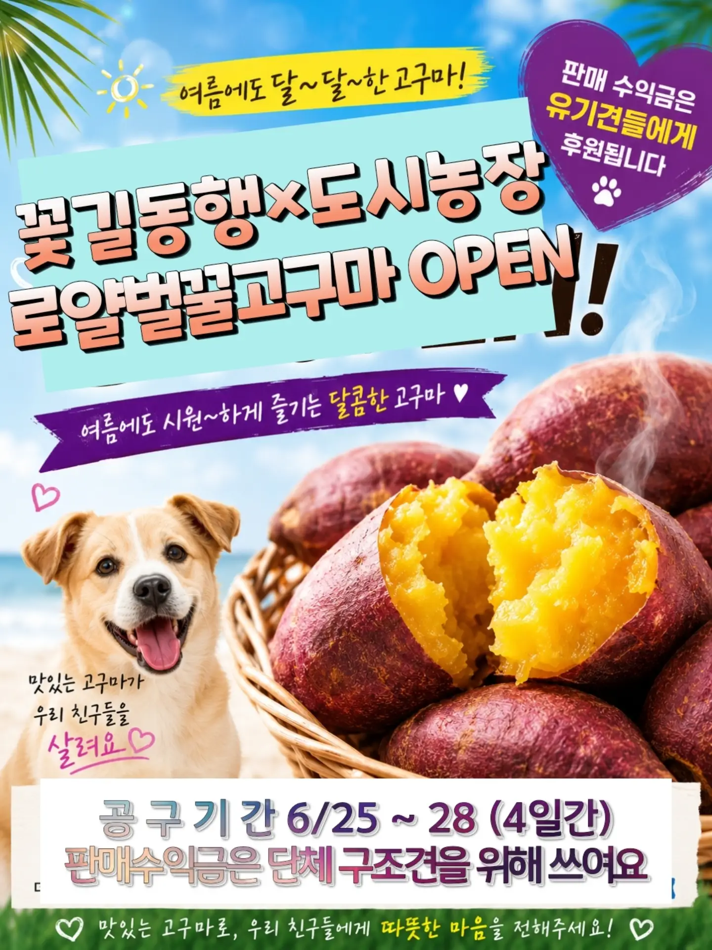 줄거즈 블랭킷 / 베개 1