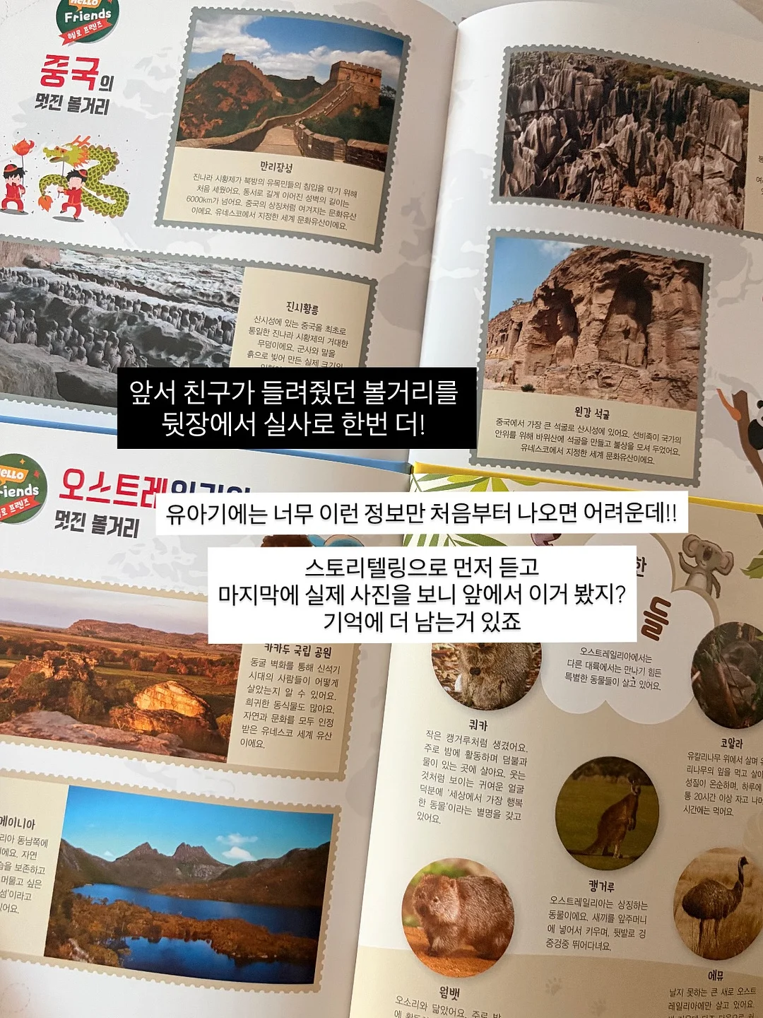 리본 짐색 10