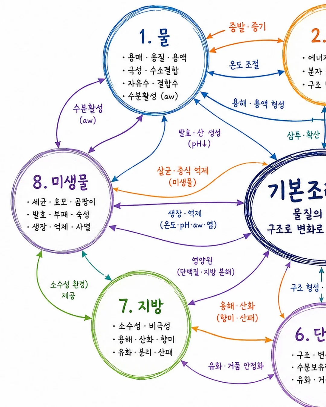 챔피언 × 다크룸 협업 컬렉션 1