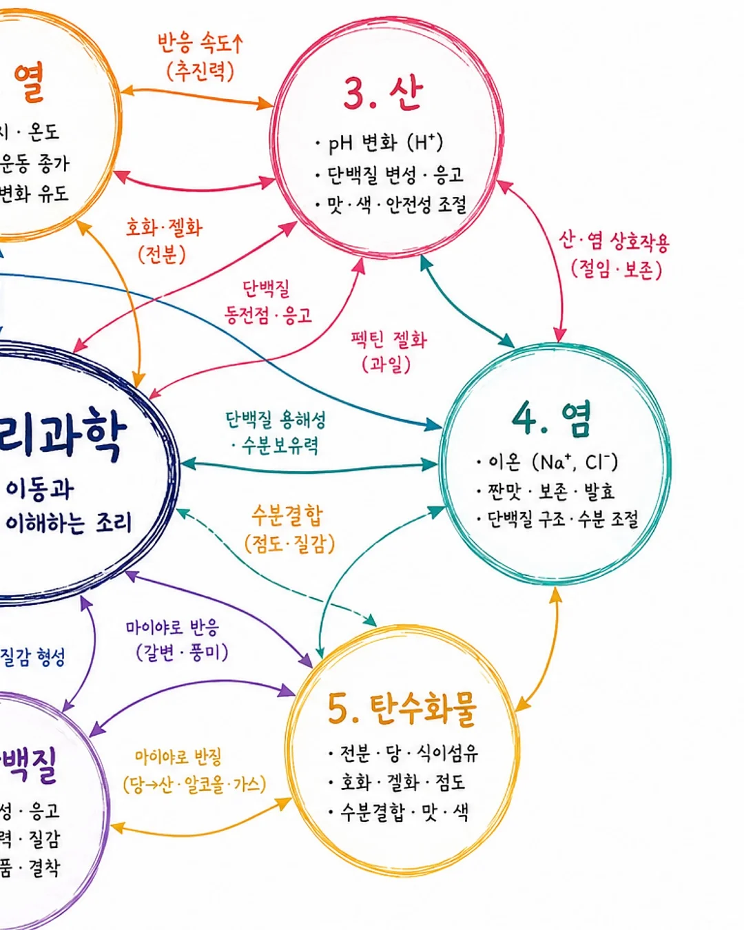 챔피언 × 다크룸 협업 컬렉션 2