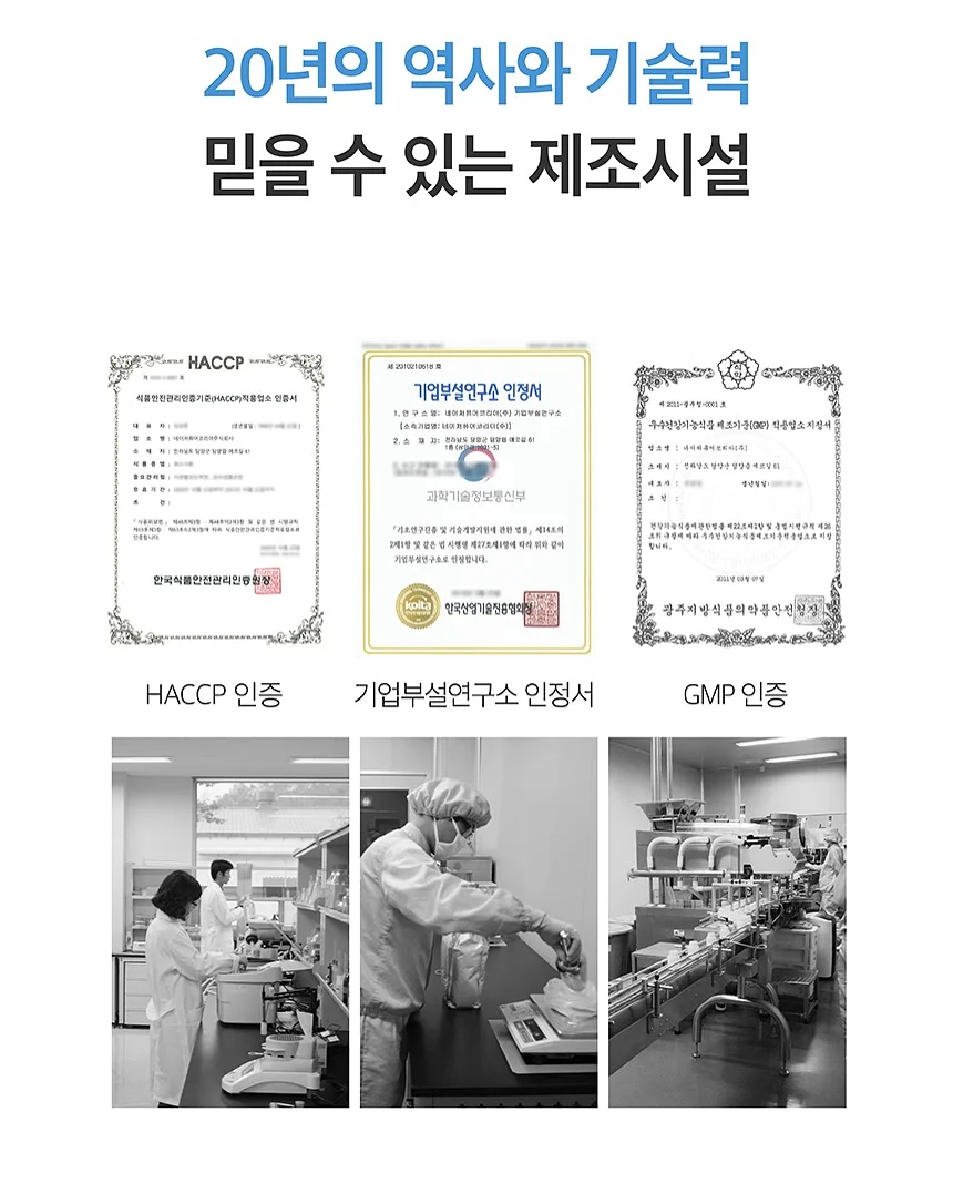캣 고 13