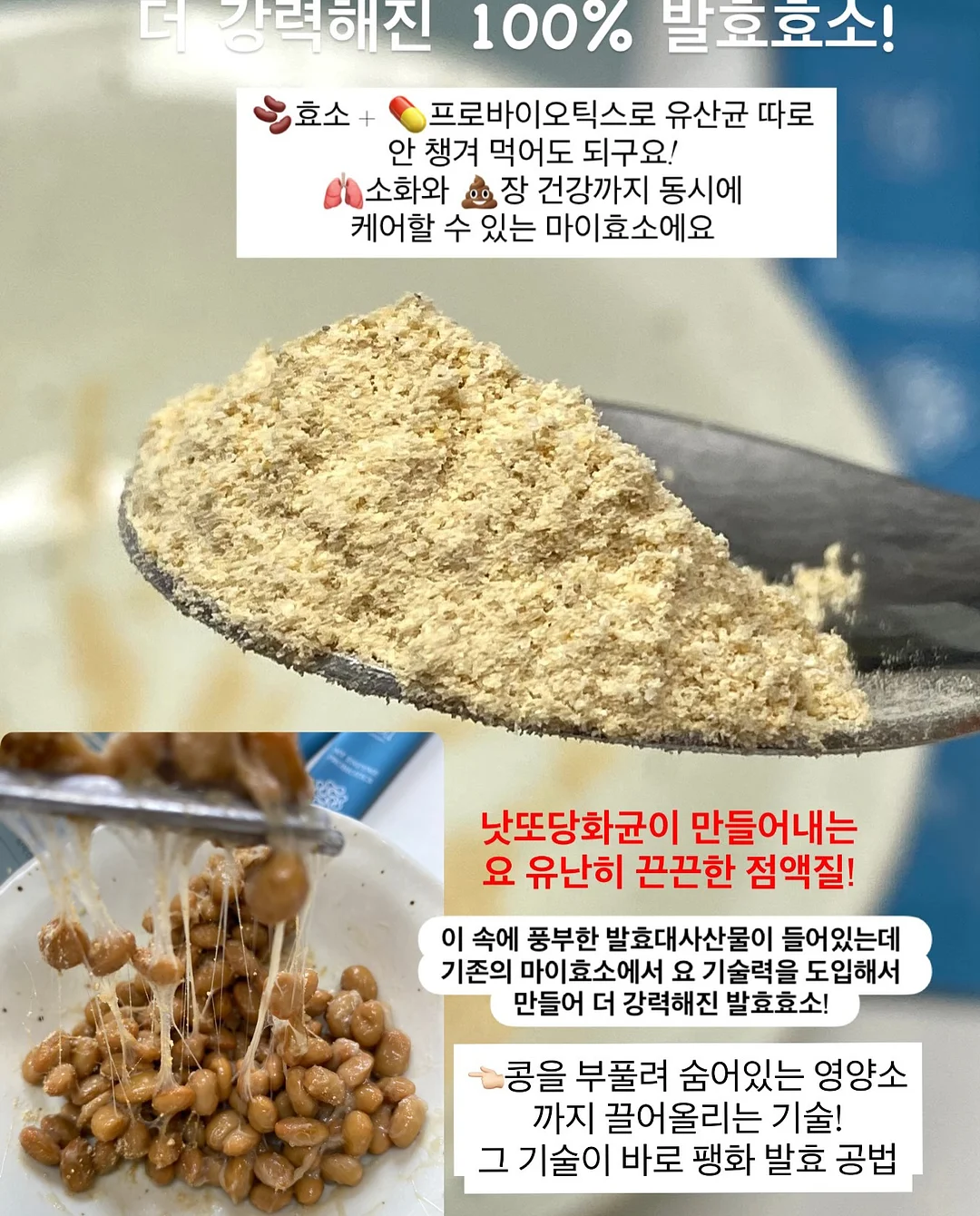 캣 고 5
