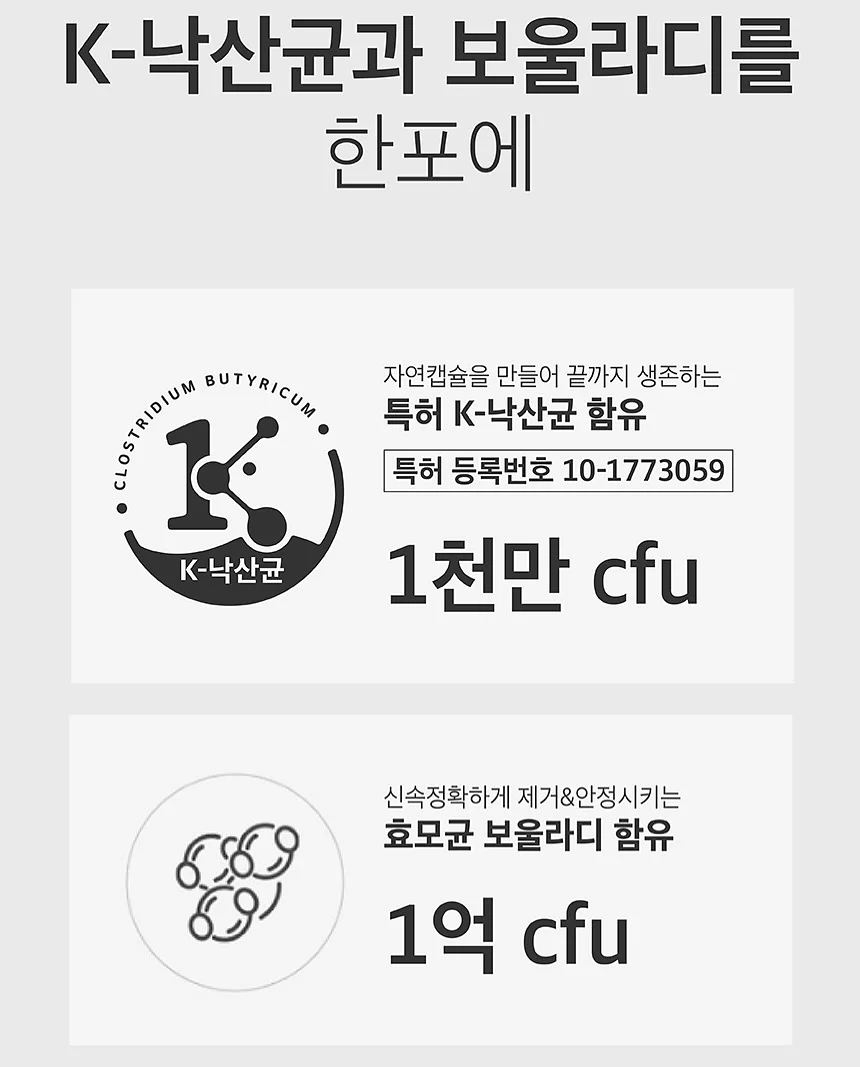 캣 고 8