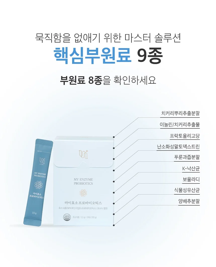 캣 고 9