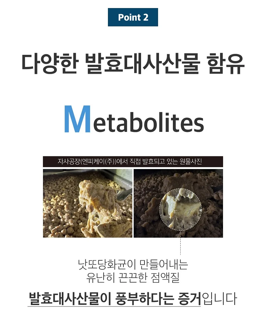 캣 고 10