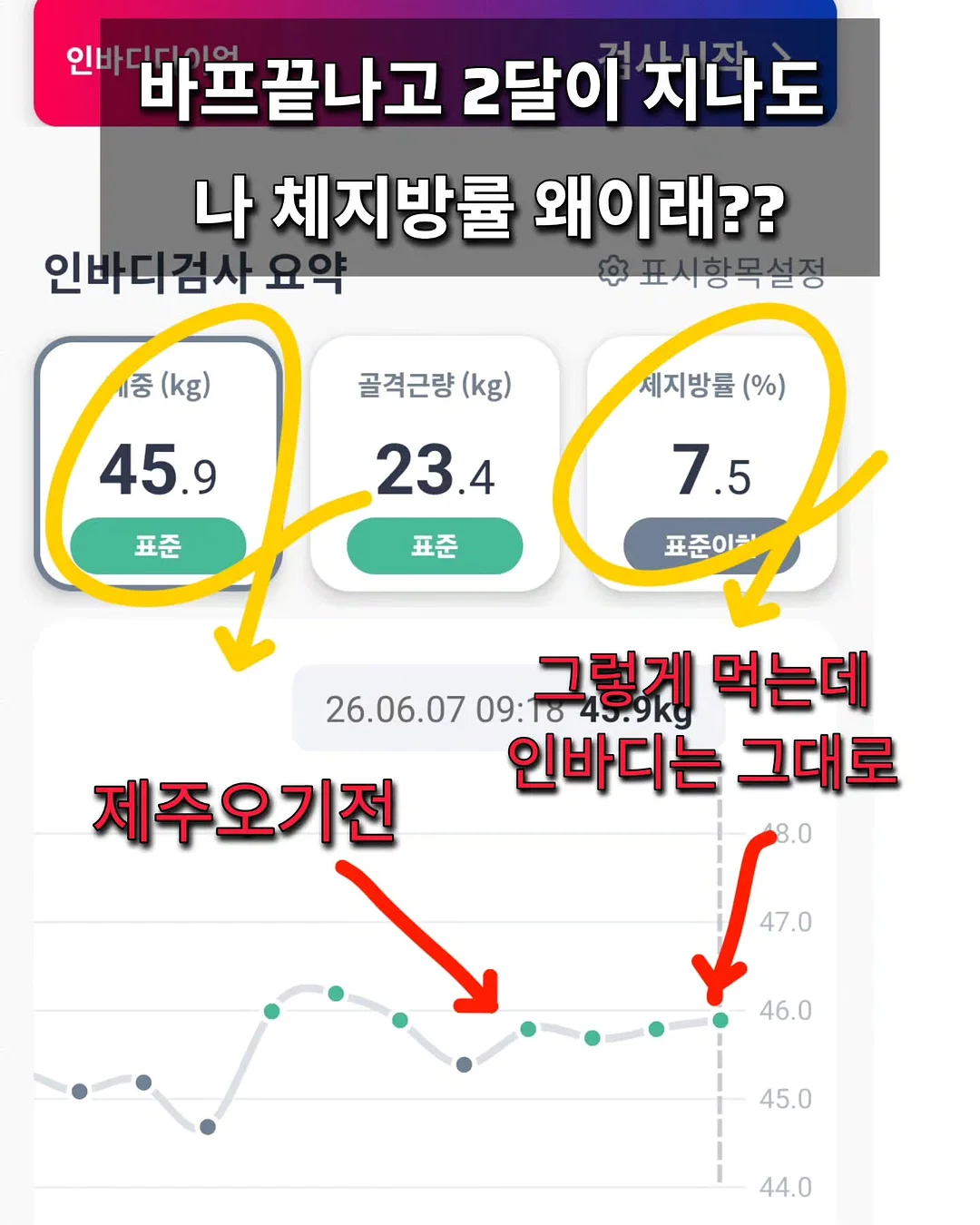 세라st 카라포인트 보넷 2