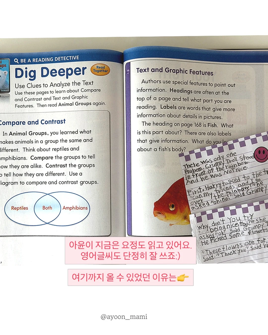 케이크 클래스 7