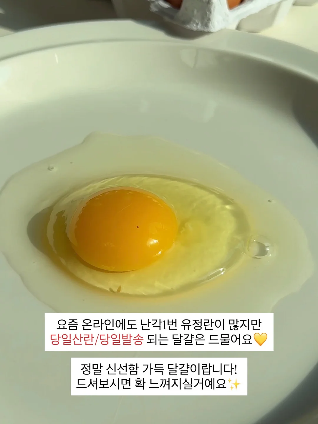 약도라지고 6