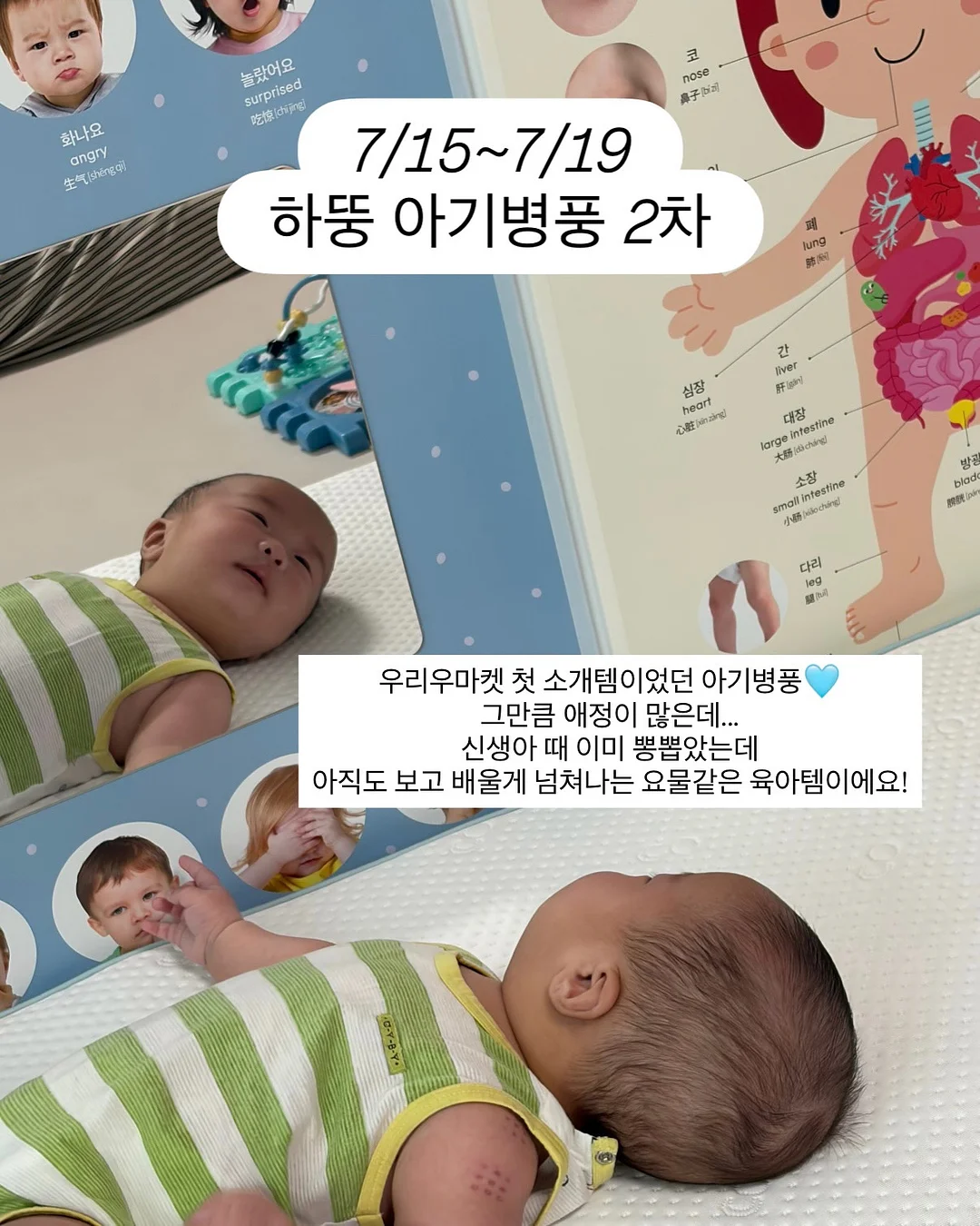Wild Kratts 시리즈 영어 리더스북 8