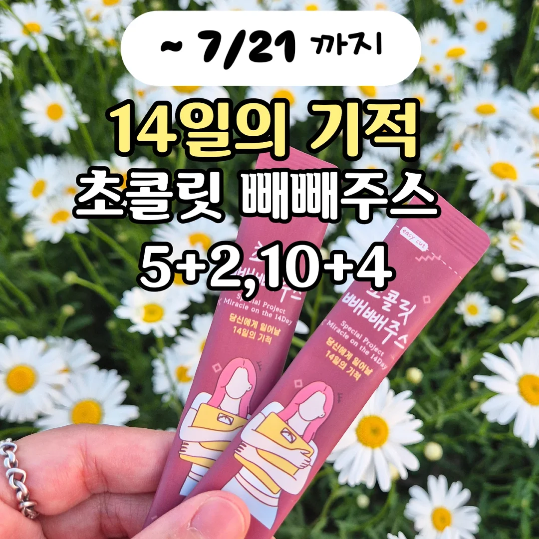 스티치 신상 모음 1