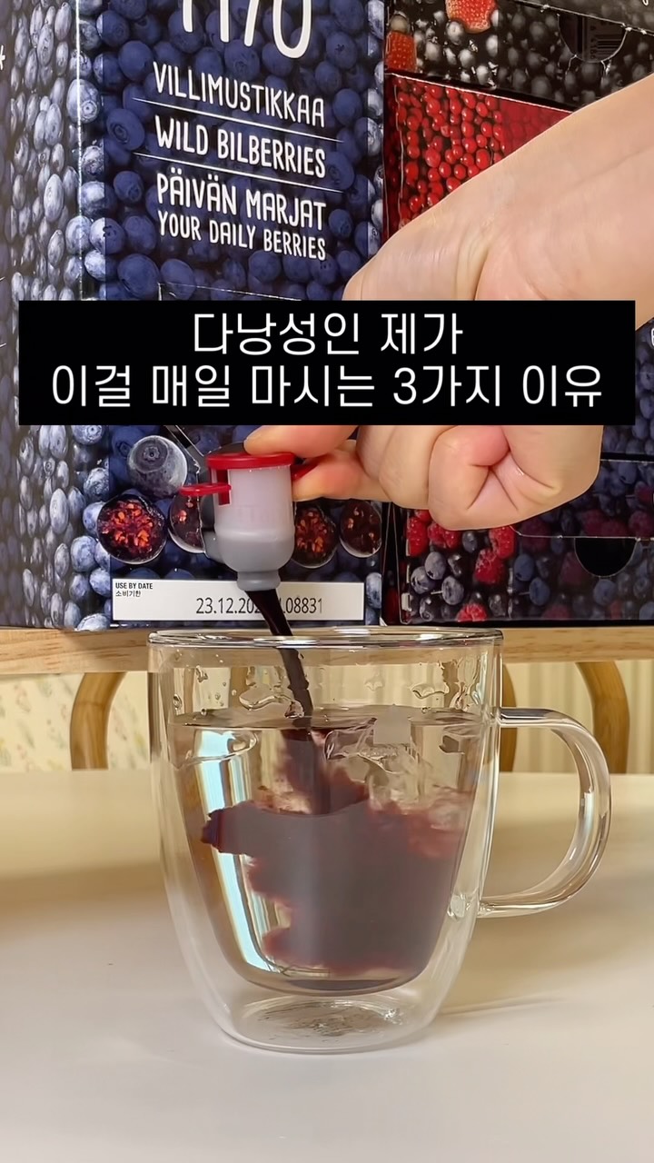 레고 사자 기사의 성