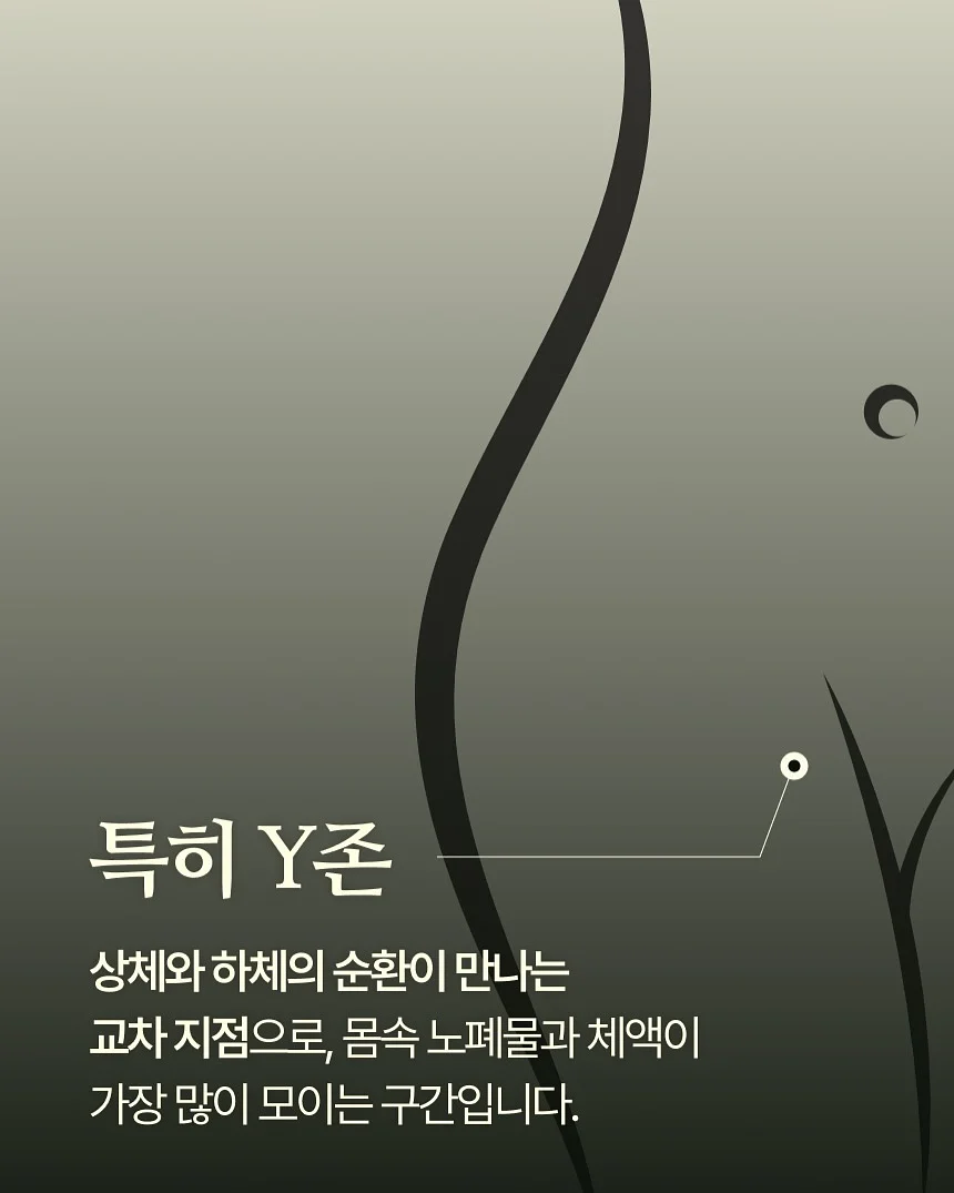 산후 다이어트 운동 7