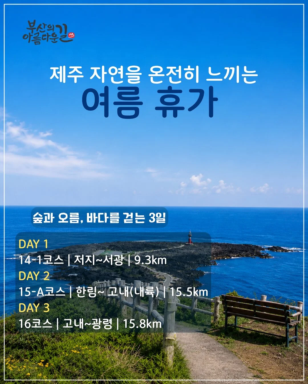 맥스컷 ABC 클렌즈 2