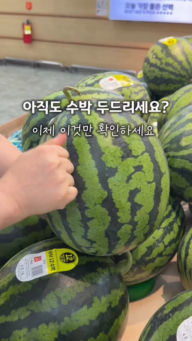 바레 클래스