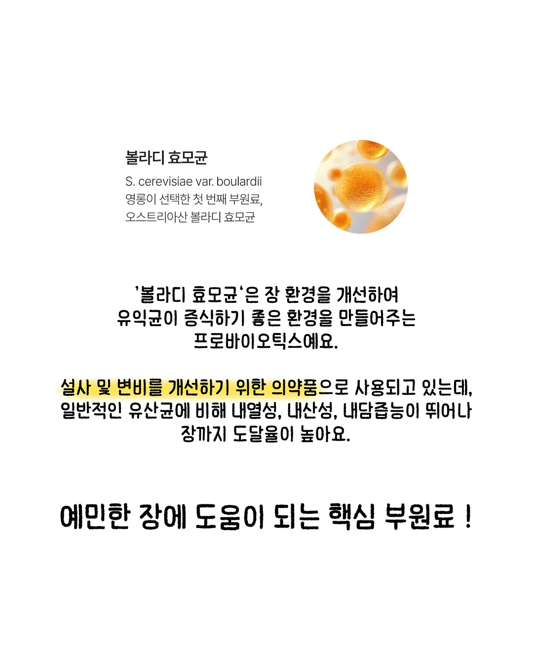 다이소 욕실청소템 8