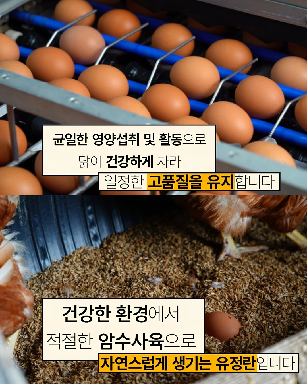 아디다스 디즈니 컬렉션 삼바 제인 엘리스 8