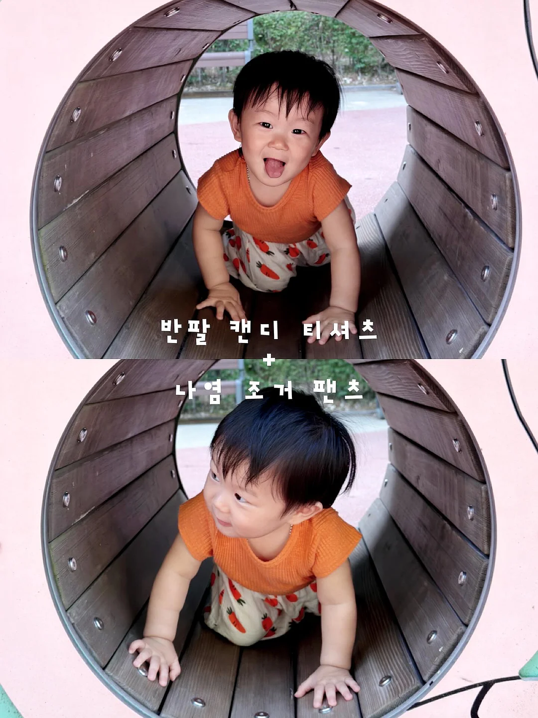 저칼로리 면 6