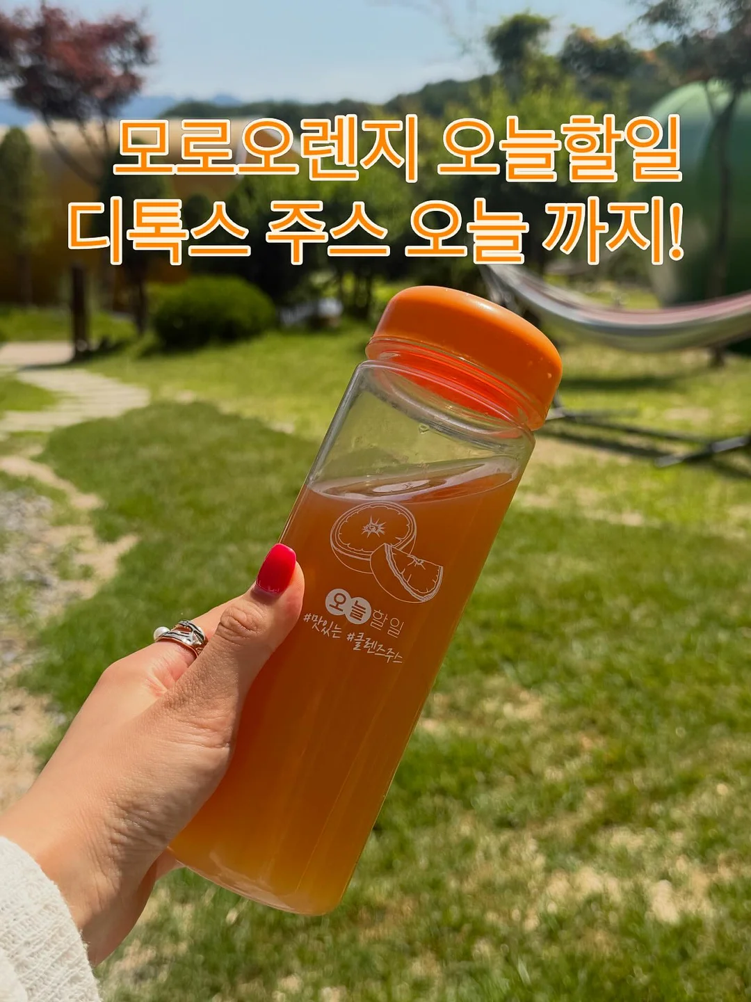 홀케익 1