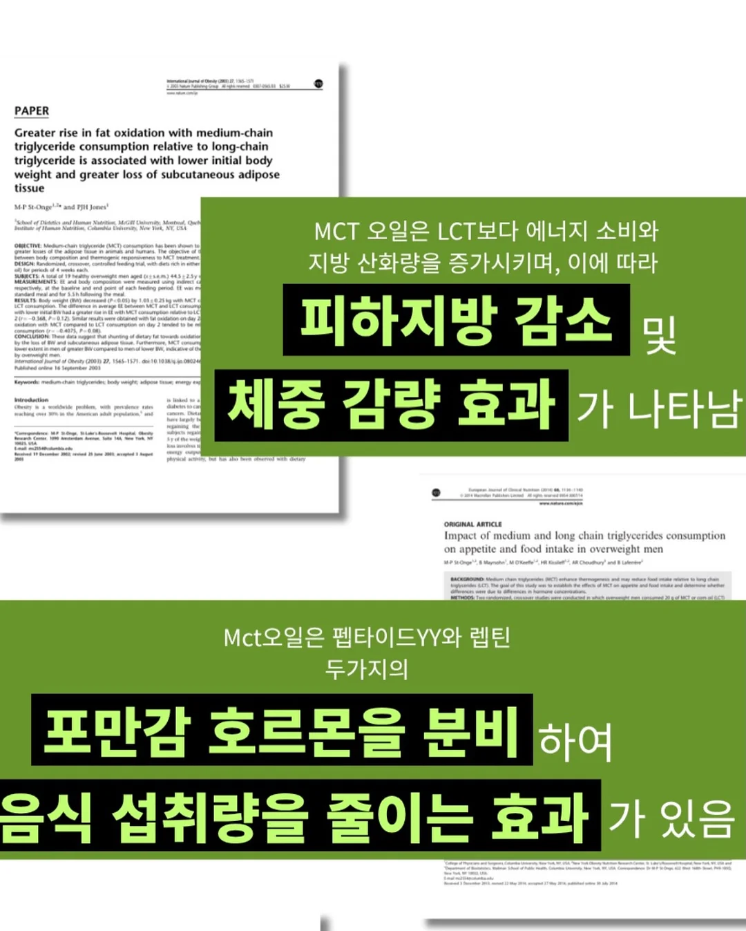 파데프리 루틴 7