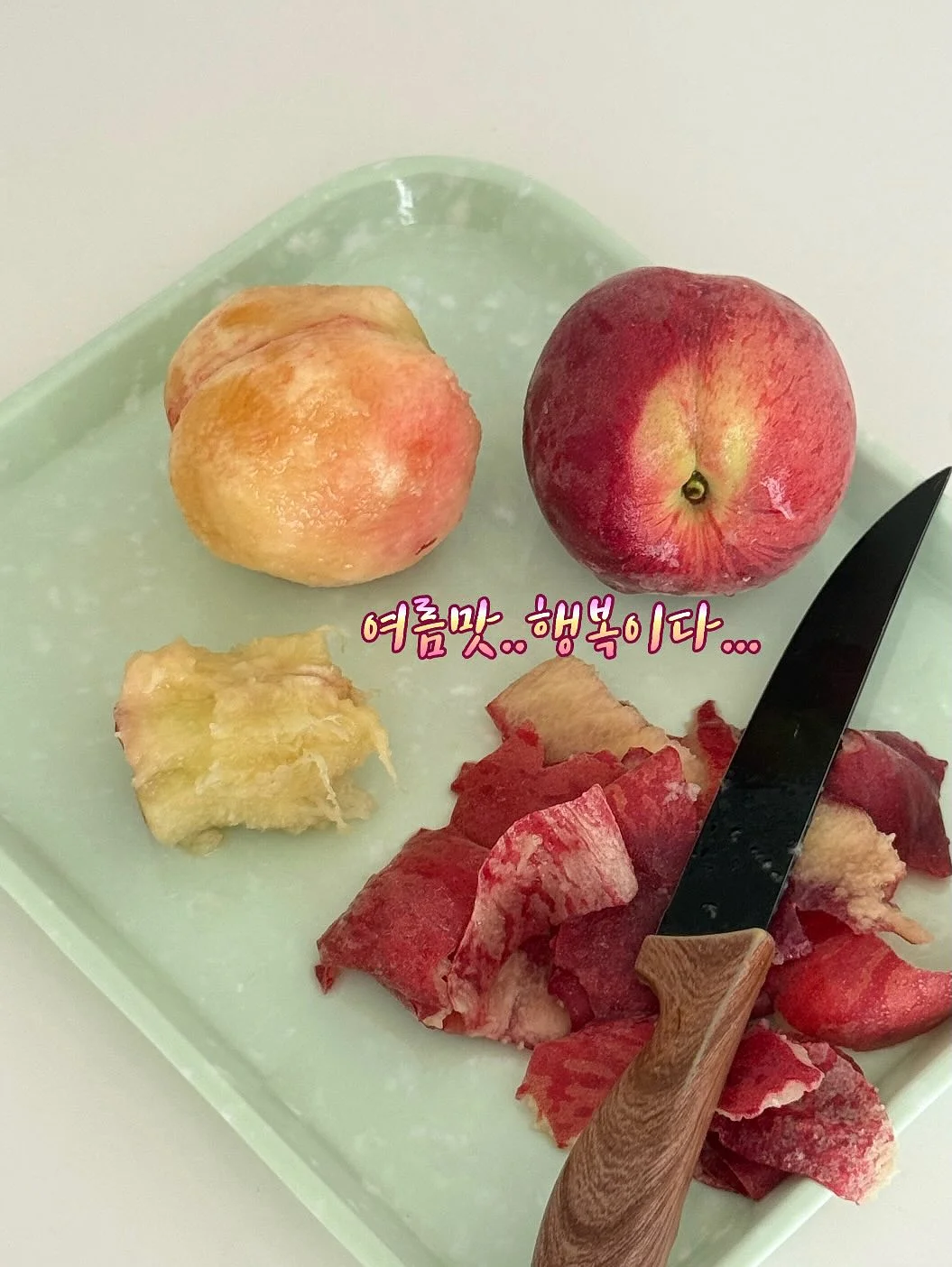 브리트니 레오파드 그래픽 티셔츠 1
