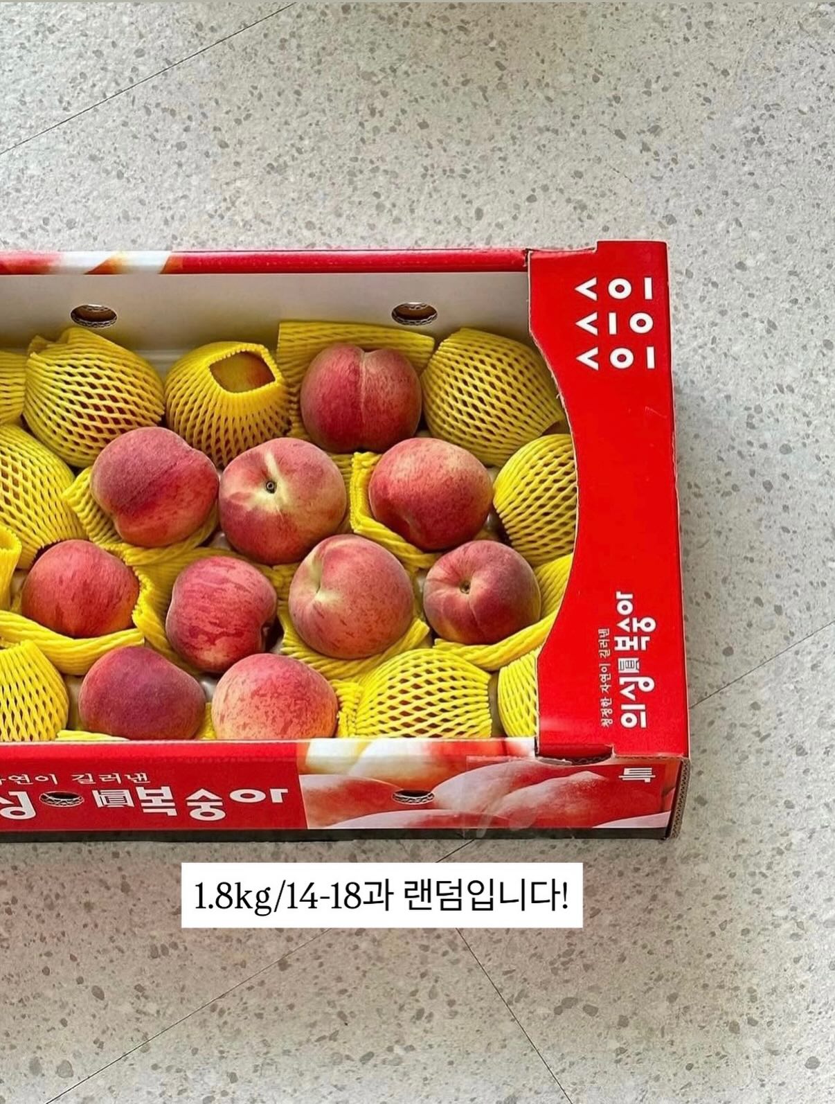 브리트니 레오파드 그래픽 티셔츠 11
