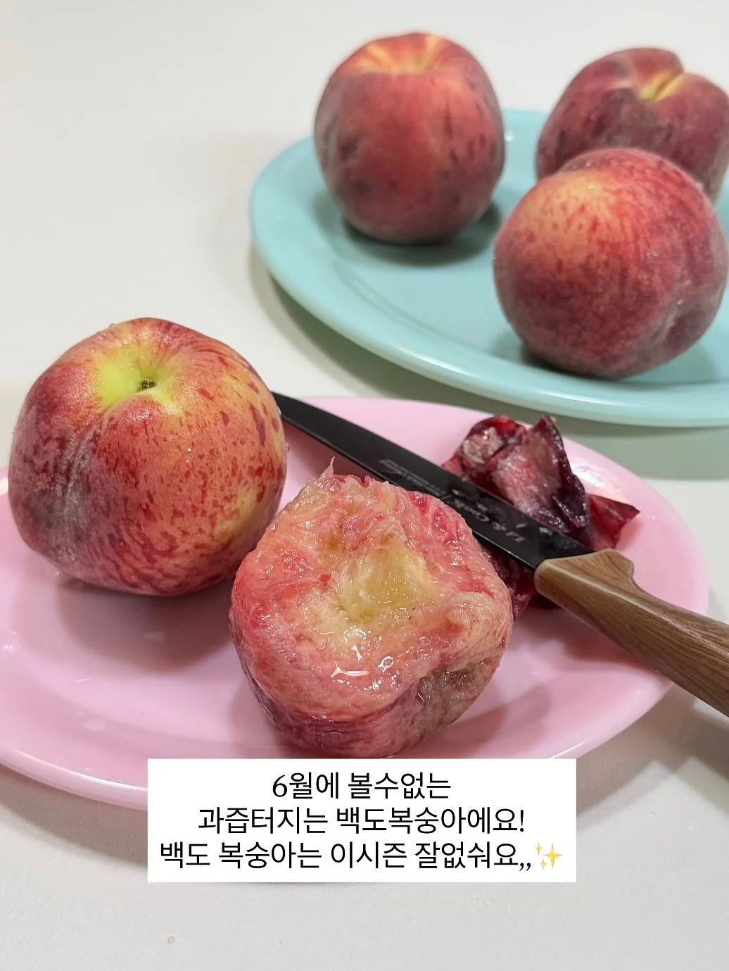 브리트니 레오파드 그래픽 티셔츠 12