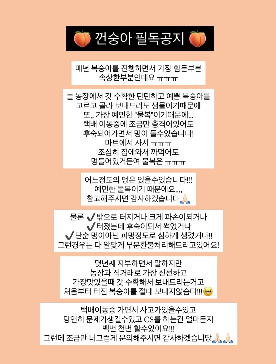 브리트니 레오파드 그래픽 티셔츠 13
